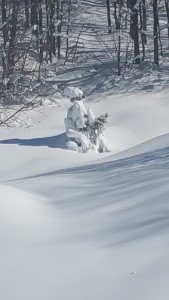 20160304_110027